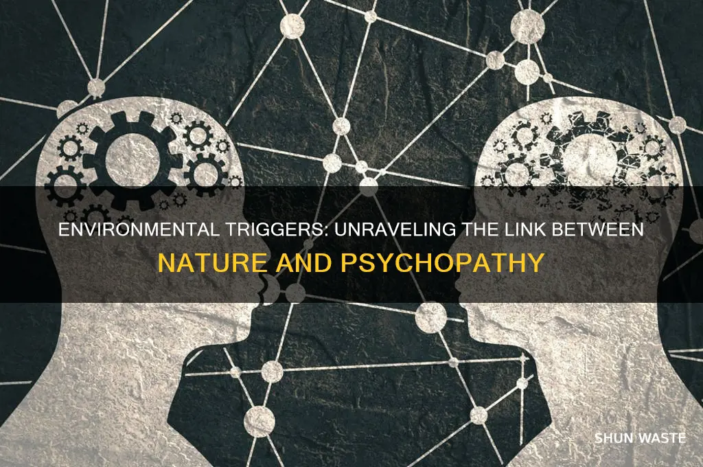 can the environment create a psychopath