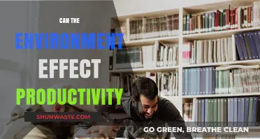 How Environmental Factors Influence Productivity: Unlocking Optimal Work Performance
