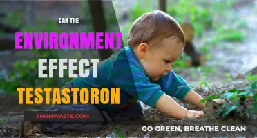 Environmental Factors: How Nature Impacts Testosterone Levels and Health