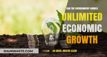 Can Our Planet Sustain Endless Economic Expansion? Exploring Limits and Solutions