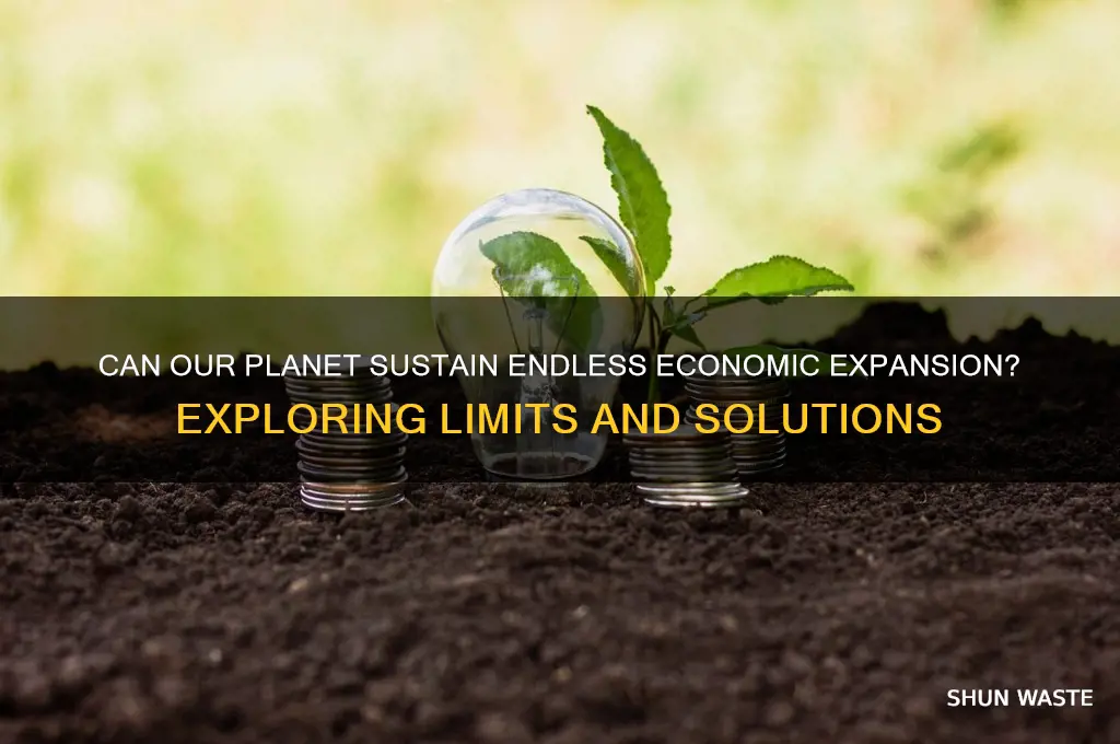 can the environment handle unlimited economic growth