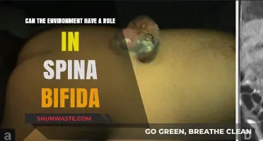 Environmental Factors and Spina Bifida: Unraveling the Complex Connection