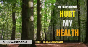 Environmental Hazards: How Your Surroundings Impact Your Health and Well-being