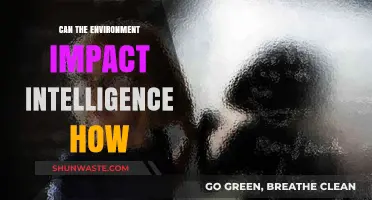 Environmental Factors Shaping Intelligence: Unraveling Nature's Influence on Cognitive Abilities