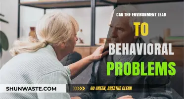 Environmental Triggers: Unraveling the Link to Behavioral Challenges