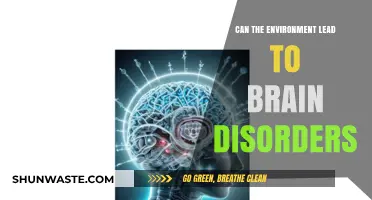 Environmental Triggers: Unraveling the Link to Brain Disorders