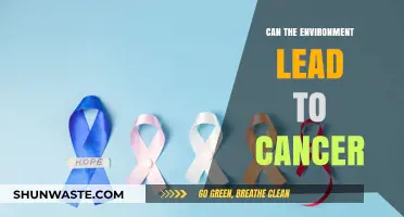 Environmental Factors and Cancer: Uncovering the Hidden Links to Disease