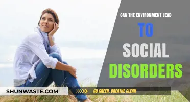 Environmental Triggers: Unraveling the Link to Social Disorders and Mental Health