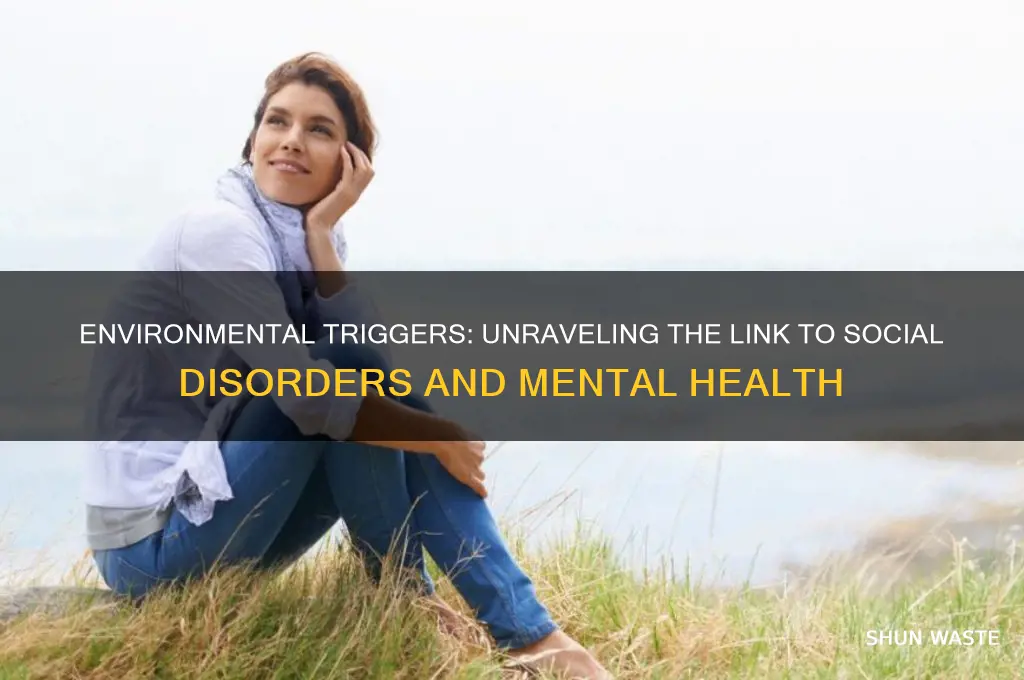 can the environment lead to social disorders