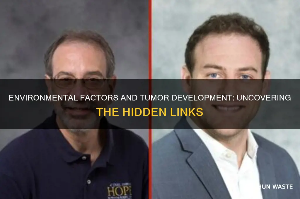 can the environment lead to tumors