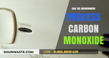 How Does the Environment Naturally Break Down Carbon Monoxide?
