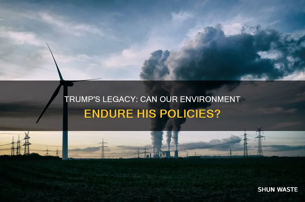 can the environment survive trump
