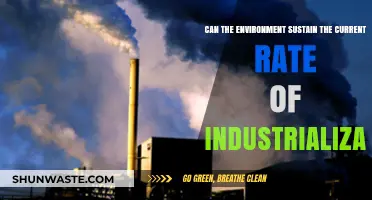 Can Our Planet Endure the Pace of Industrialization?