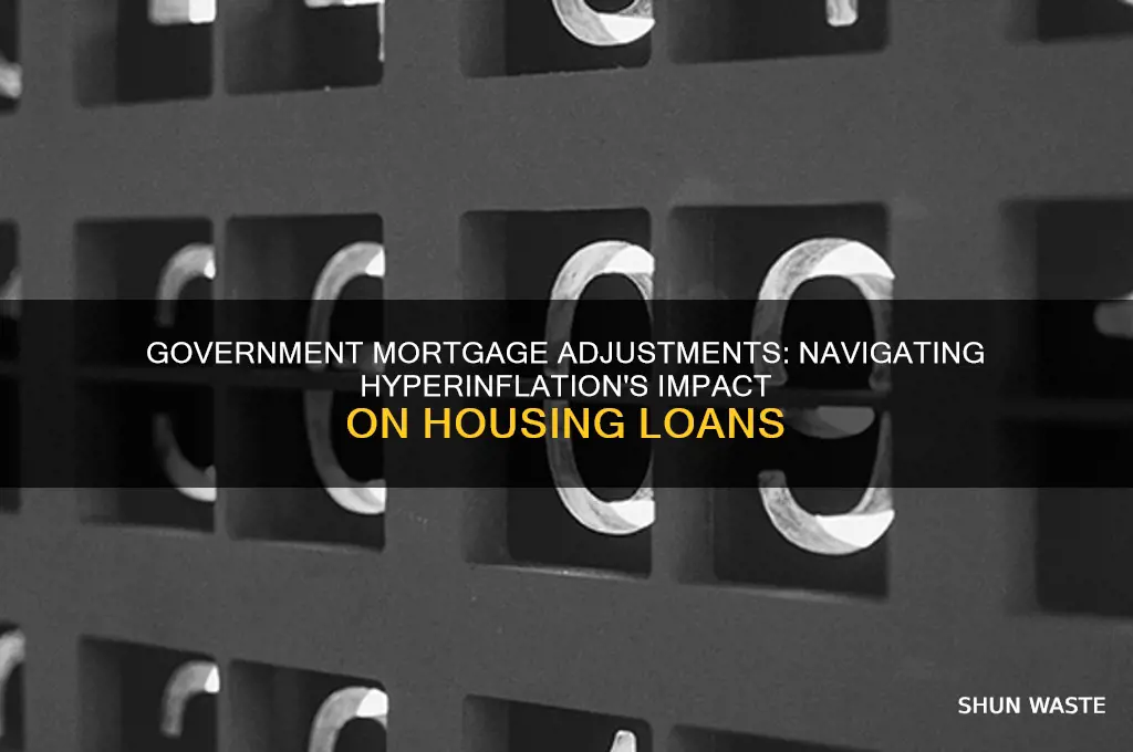 can the government adjust mortgages in a hyperinflationary environment