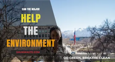 Can Majors Drive Environmental Change? Exploring Their Impact and Potential