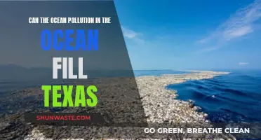 Ocean Pollution: Can It Fill Texas?