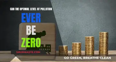 Aiming for Zero Pollution: Is It Possible?