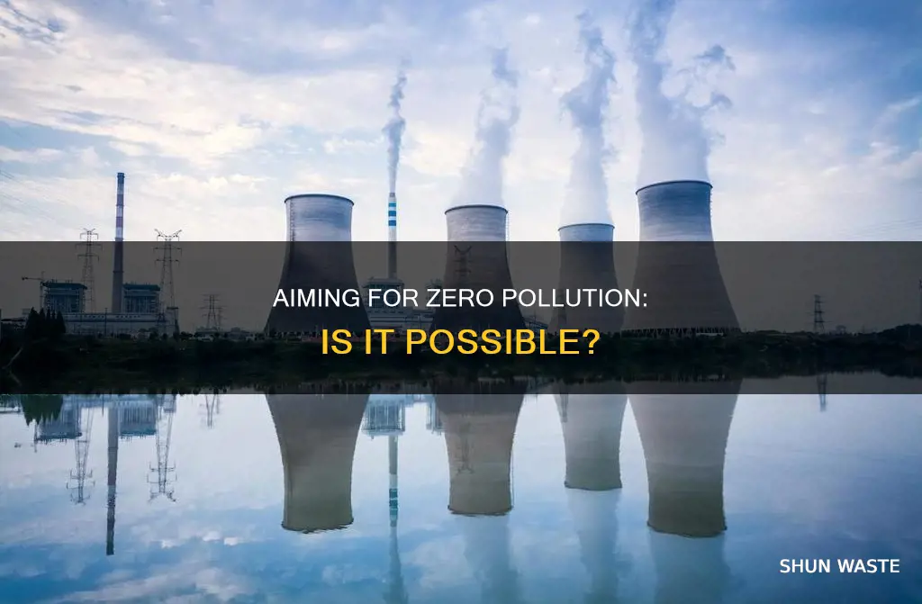 can the optimal level of pollution ever be zero