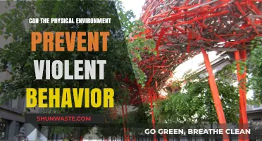How Physical Spaces Shape Safety: Preventing Violence Through Environmental Design