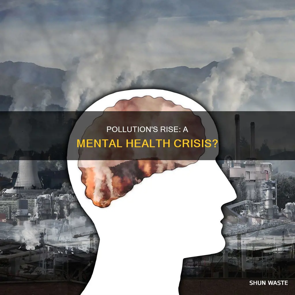 can the rise in pollution cause mental illness