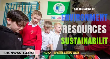 Empowering Future Generations: The Role of Environmental Sustainability Education