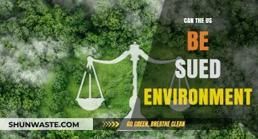 Can the US Face Legal Action for Environmental Damage?