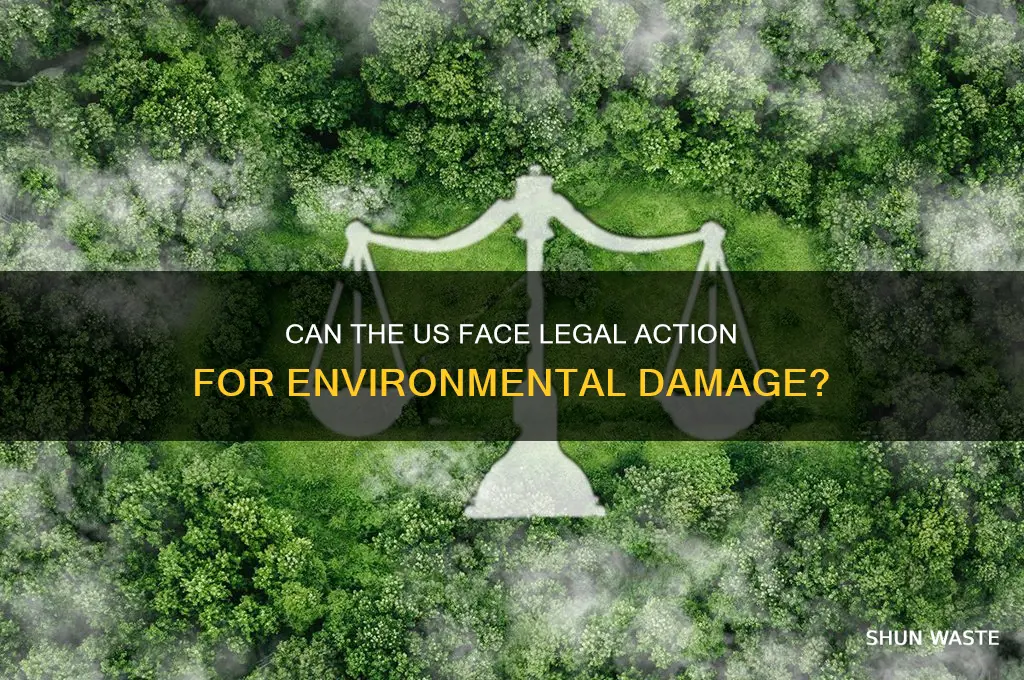 can the us be sued environment