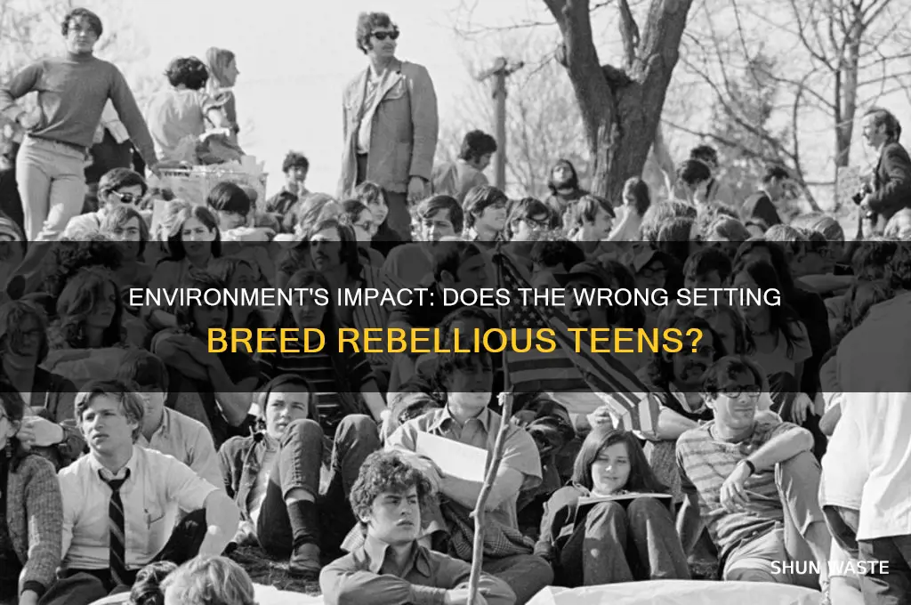 can the wrong environment create rebelious teenagers