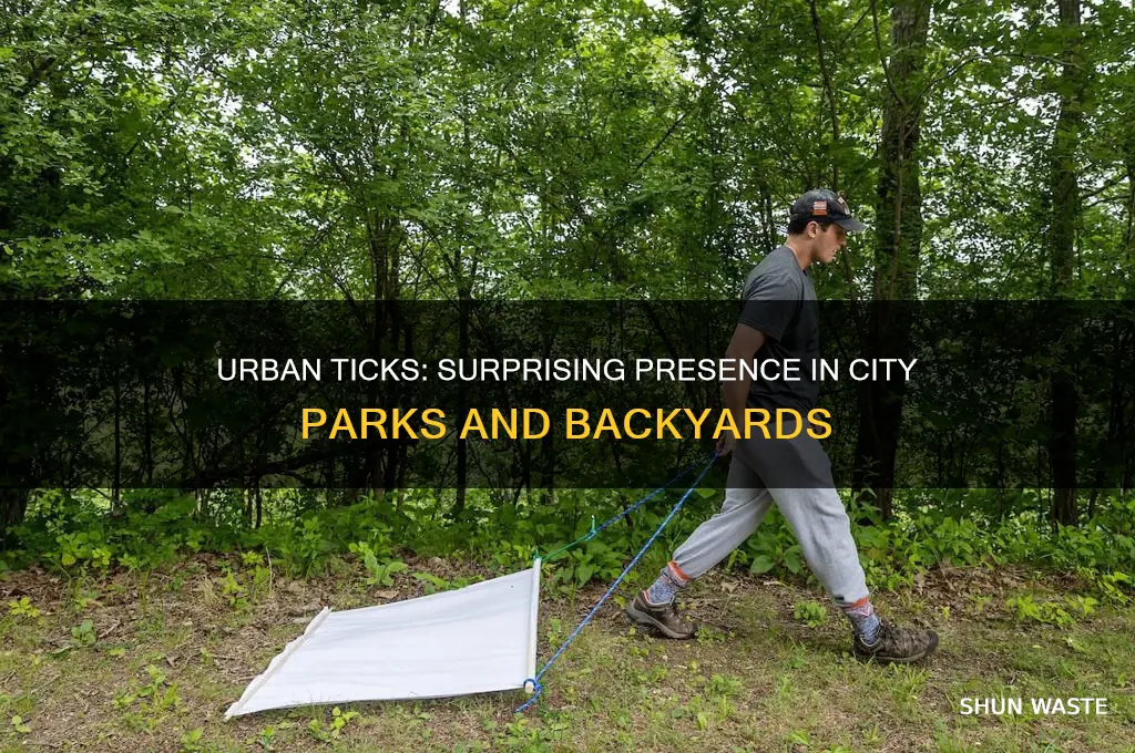 can ticks be found in an urban environment