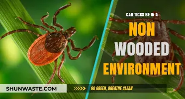 Ticks Beyond the Woods: Uncovering Their Presence in Non-Wooded Areas