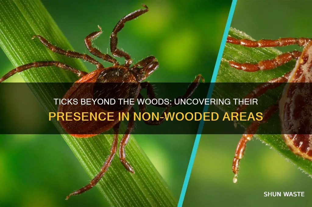 can ticks be in a non wooded environment