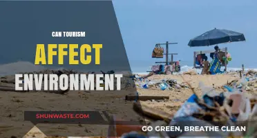 Exploring the Impact: How Tourism Shapes Our Environment
