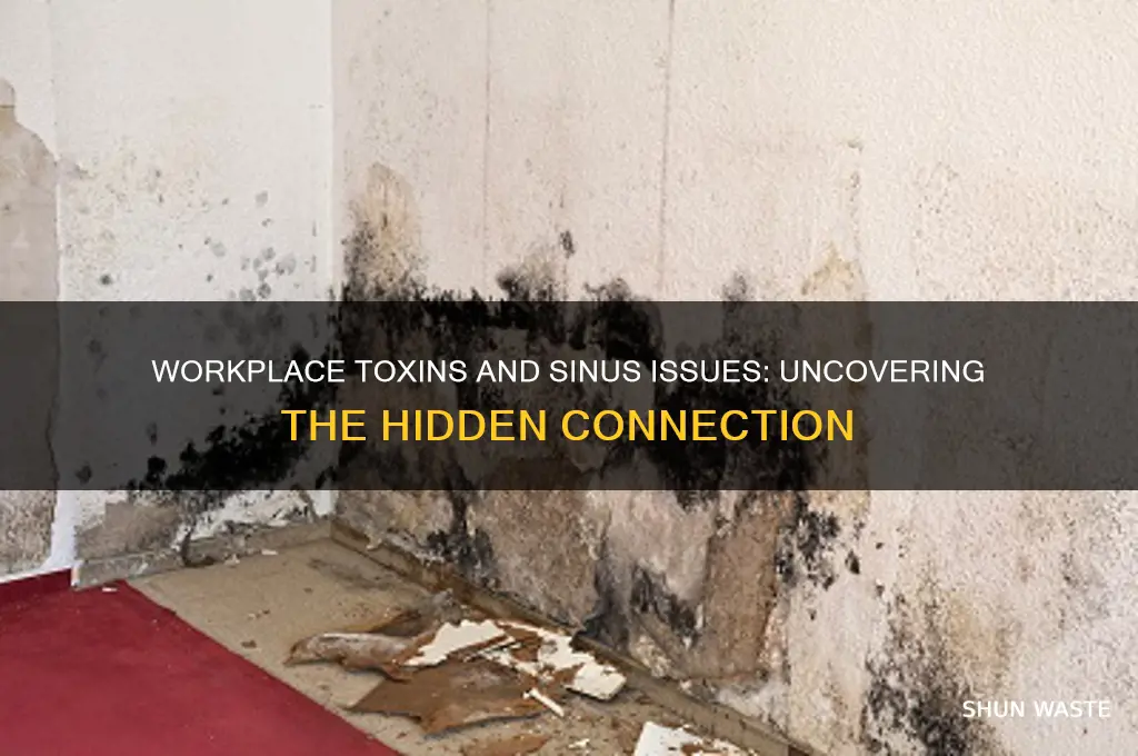 can toxins in the work environment cause sinus problems