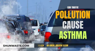 Traffic Pollution: Asthma Trigger?