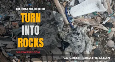 How Trash Turns to Stone: Pollution's Rocky Future