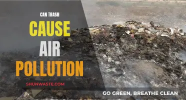 Trash and Air Pollution: Harmful Effects of Poor Waste Management