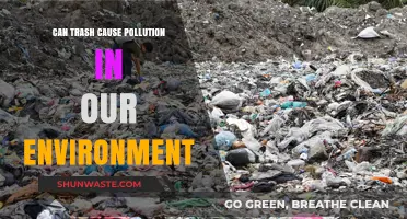 Trash's Toxic Impact: How Waste Pollutes Our Environment and Planet