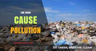 The Surprising Environmental Impact of Trash: A Pollution Crisis