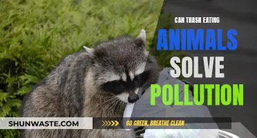 Trash-Eating Animals: Nature's Solution to Pollution?