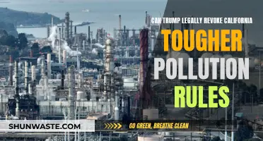 Trump's Power Play: Can He Overrule California's Pollution Rules?