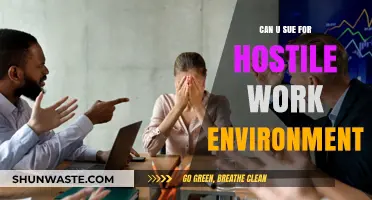 Can You Sue for a Hostile Work Environment? Legal Insights