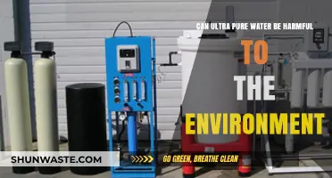 Ultra-Pure Water's Environmental Impact: A Hidden Ecological Threat?