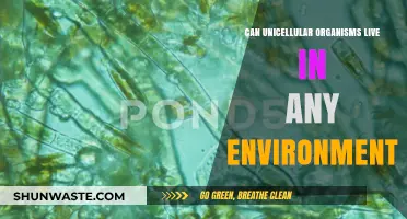 Unicellular Organisms' Environmental Adaptability: Exploring Their Survival Limits