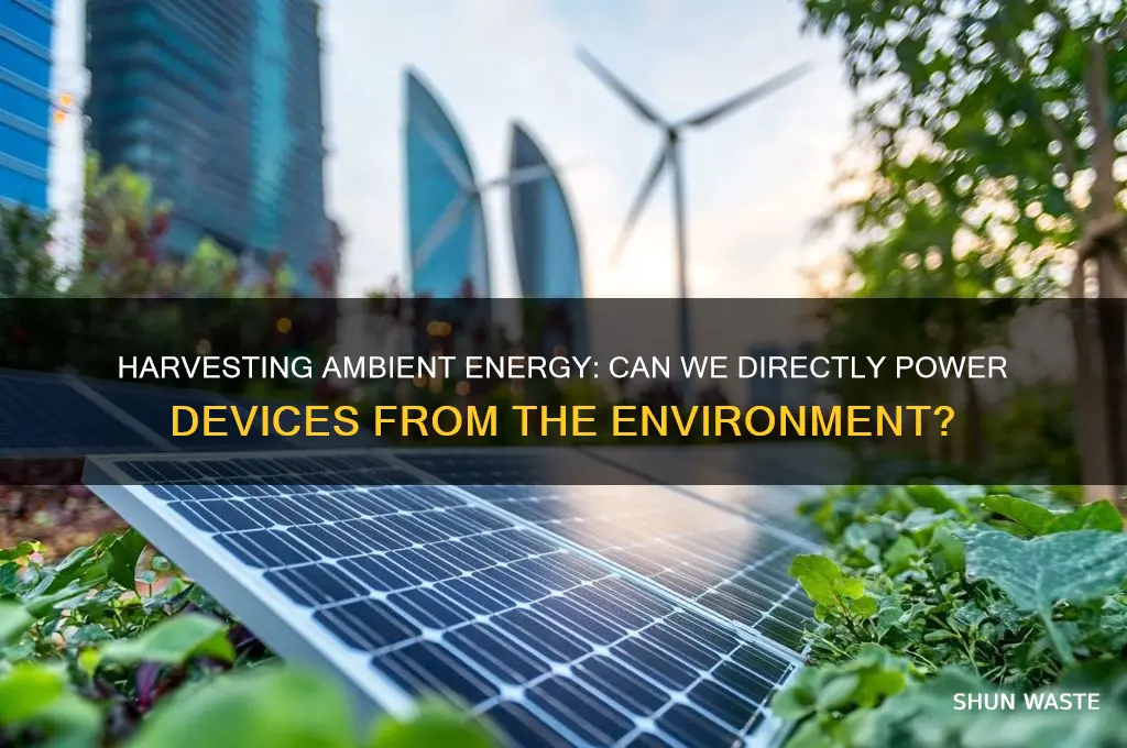 can unse energy directly from the environment while