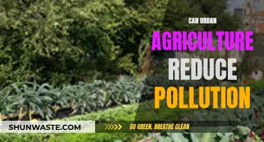 Green Revolution: Urban Agriculture's Anti-Pollution Power