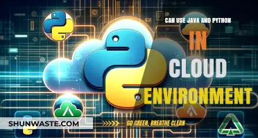 Leveraging Java and Python for Cloud Computing Solutions