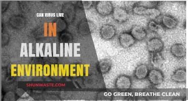 Can Viruses Survive in Alkaline Conditions? Exploring pH Impact on Viruses