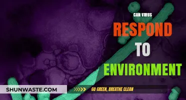 Do Viruses Sense and Adapt to Environmental Changes?