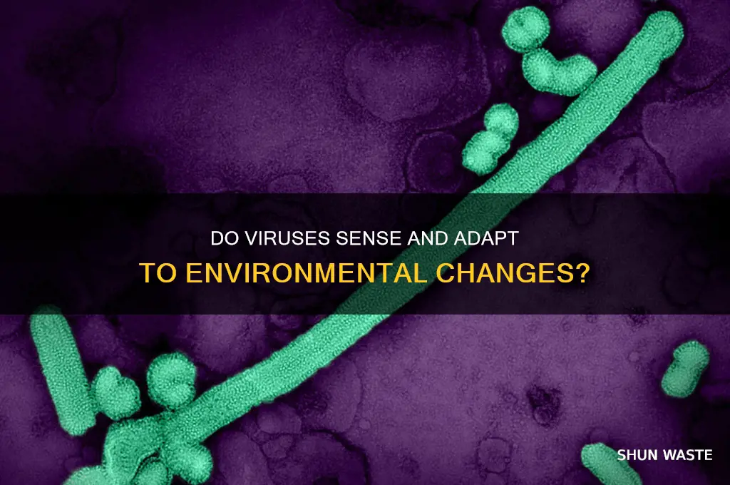 can virus respond to environment