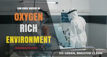 Can Viruses Thrive in Oxygen-Rich Environments? Unraveling the Survival Mystery